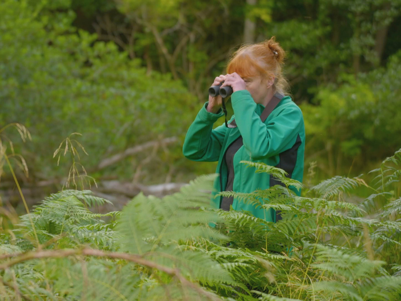 North Yorkshires Forests Set to Appear in Channel 5 Show the Secret